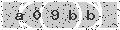 verify code