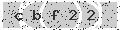 verify code
