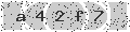 verify code