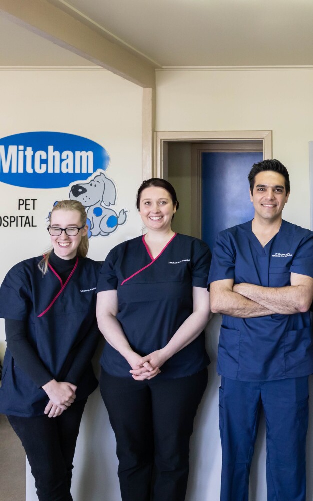 Mitcham Pet Hospital