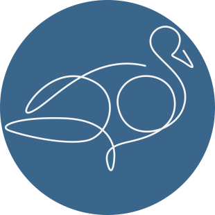 Little Duck Insights