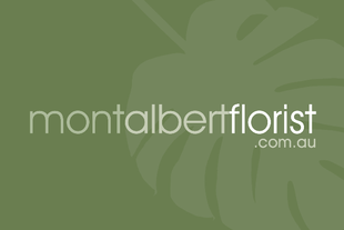 Mont Albert Florist